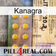 Kanagra new06